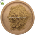 Highest selling products bilberry extracts powder